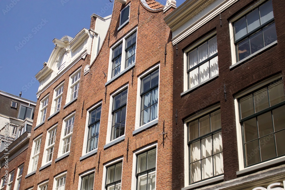 Fototapeta premium foliage grass and trees