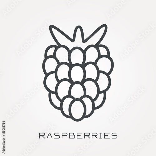 Line icon raspberries