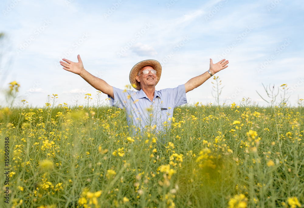 Fototapeta premium Portrait of senior farmer standing in a rapeseed field with his arms outstretched.