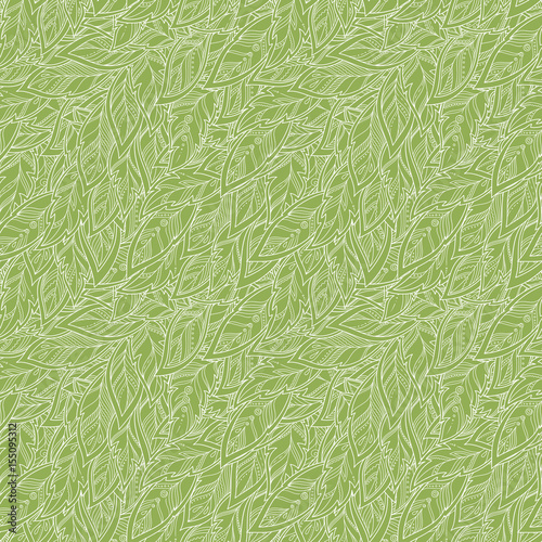 Vector Feather background