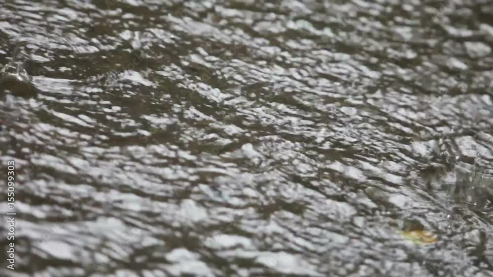 Wet winter storm raising risk of minor flooding in backyards
Wet winter storm raising risk of minor flooding in backyards