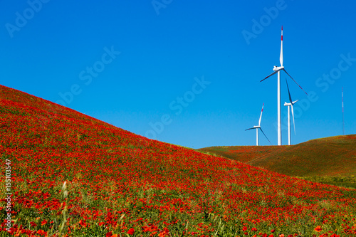 wind turbines in a typical springtime basilicata landscape
