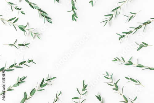 Eucalyptus on white background. Frame made of eucalyptus branches. Flat lay, top view