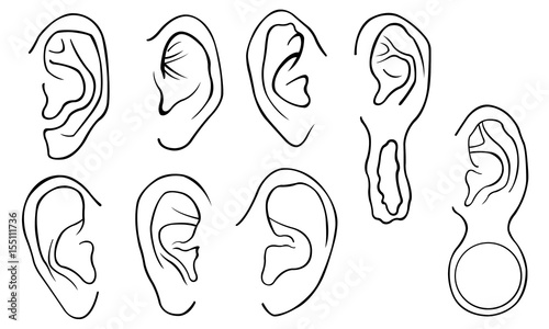 Set of different ears isolated on white