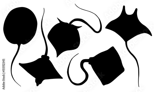 Set of different stingray silhouettes isolated on white