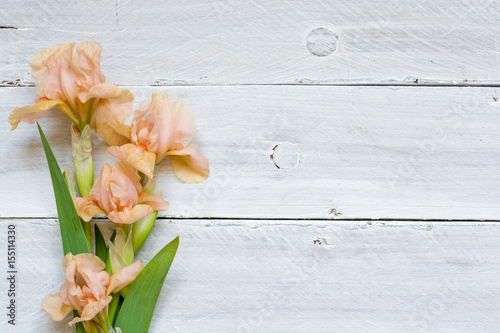 Fototapeta Naklejka Na Ścianę i Meble -  tender iris flowers over white wooden table