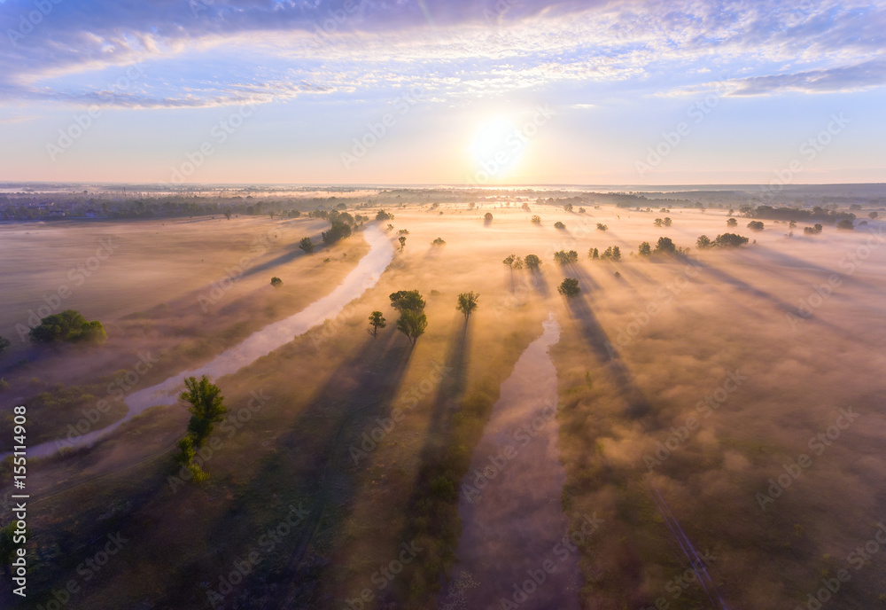 Aerial sunrise with fog at the tree tops in the rural countryside