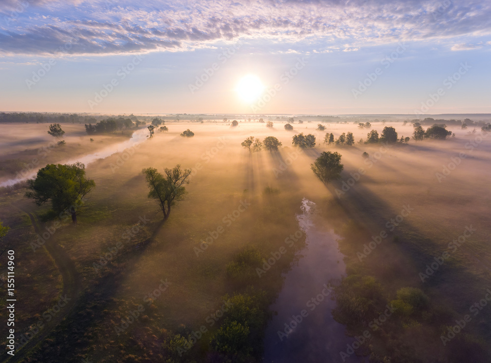 Aerial sunrise with fog at the tree tops in the rural countryside Aerial sunrise with fog at the tree tops in the rural countryside