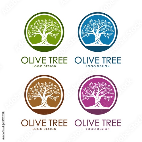 Olive Tree Design Logo Template