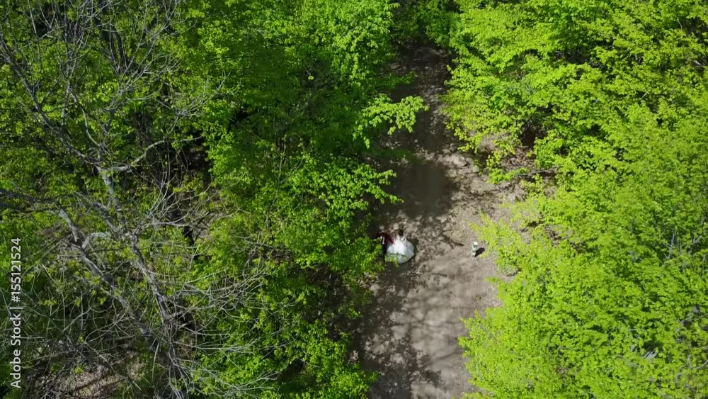 Newlyweds In The Woods Newlyweds In The Woods