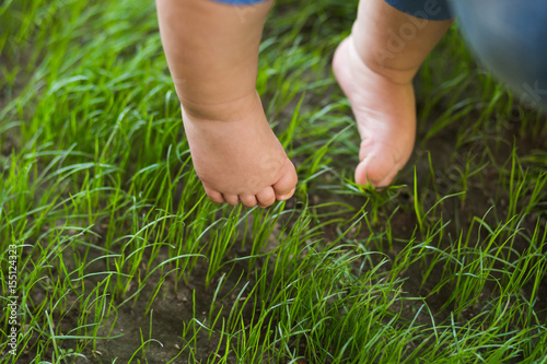 Closeup of couple of cute tiny legs of one year old white baby isolated on green grass background. Little boy or girl trying to make first steps outside in sunny summer meadow. Horizontal color image.