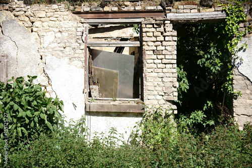 Zugewucherte Ruine / Eine mit Pflanzen zugewucherte Hauswand einer einsturzgefährdeten Ruine.