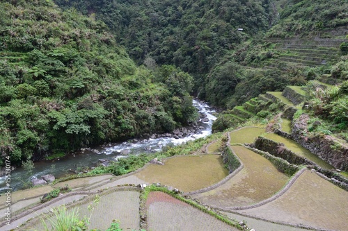 rice terraces in Banaue photo