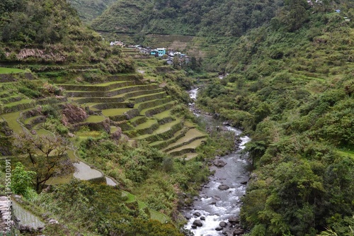 rice terraces in Banaue