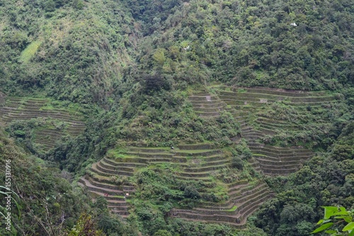 rice terraces in Banaue photo