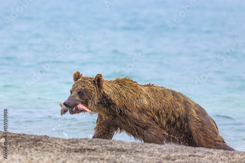 Caught lunch