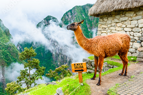 Φωτογραφία Machu Picchu, Incas ruins in Andes at Cuzco, Peru