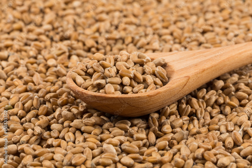 Wheat grain on white Wheat grain on white
