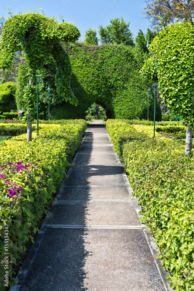 Path to the manicured bushes.