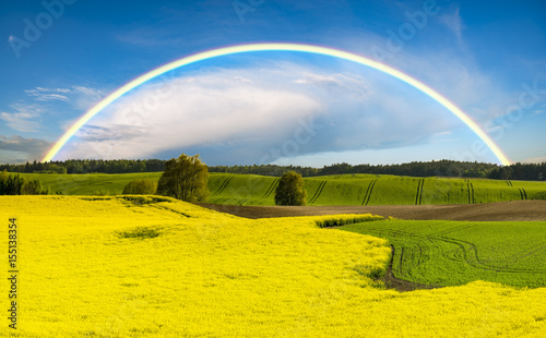 Rainbow over a green field in a spring evening