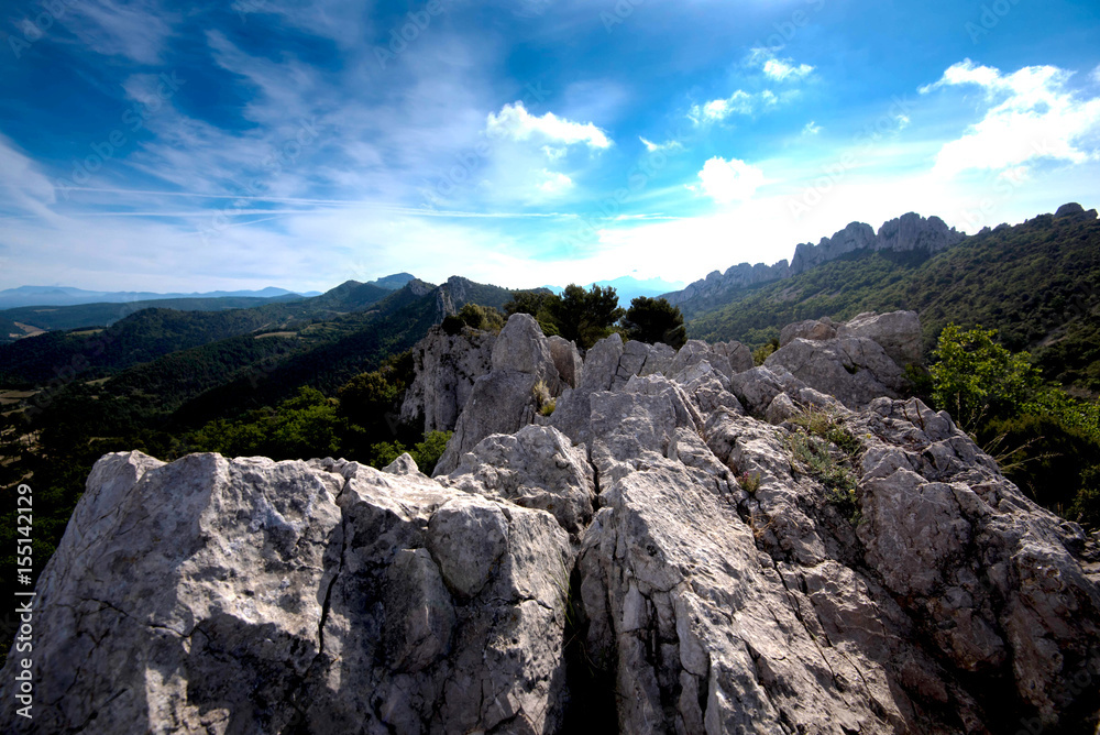 Fototapeta premium Dentelles de Montmirail