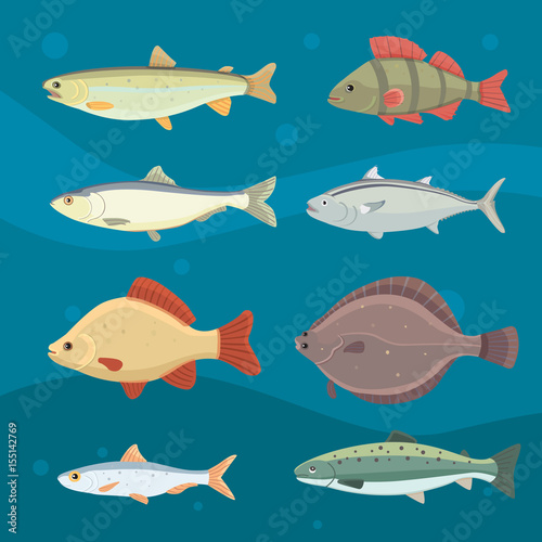 Isolated river fish. Set of freshwater sea cartoon fishes. Fauna ocean vector illustration