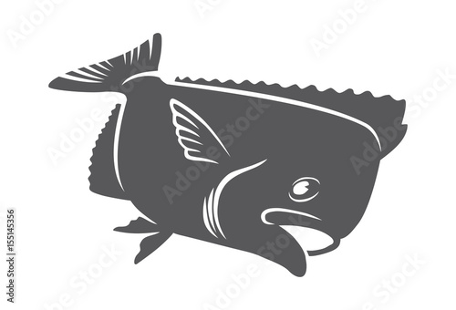 fish halibut