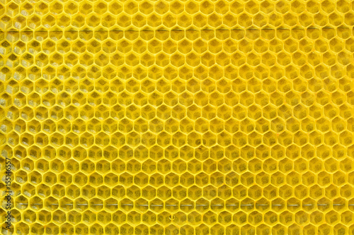 Bees have built new cell for honey. Honey comb background or texture.