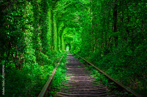 a railway in the spring forest tunnel of love © Ruslan Ivantsov