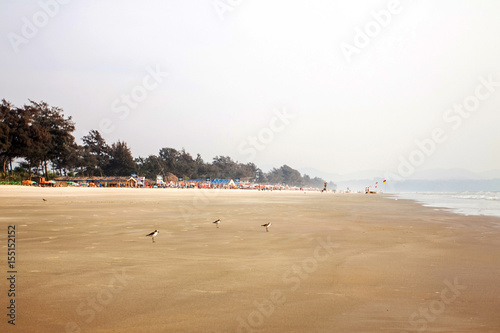 indian sand shore and ocean photo