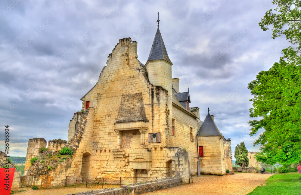 Chateau de Chinon in the Loire Valley - France