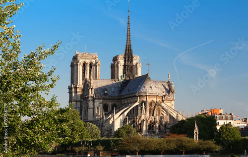 The famous Notre Dame Cathedral , Paris, France