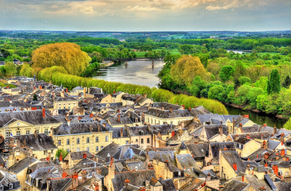 View of Chinon from the castle - France
