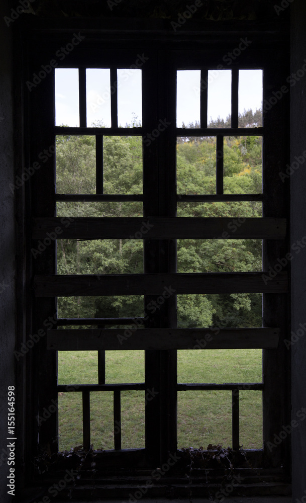 Window Window