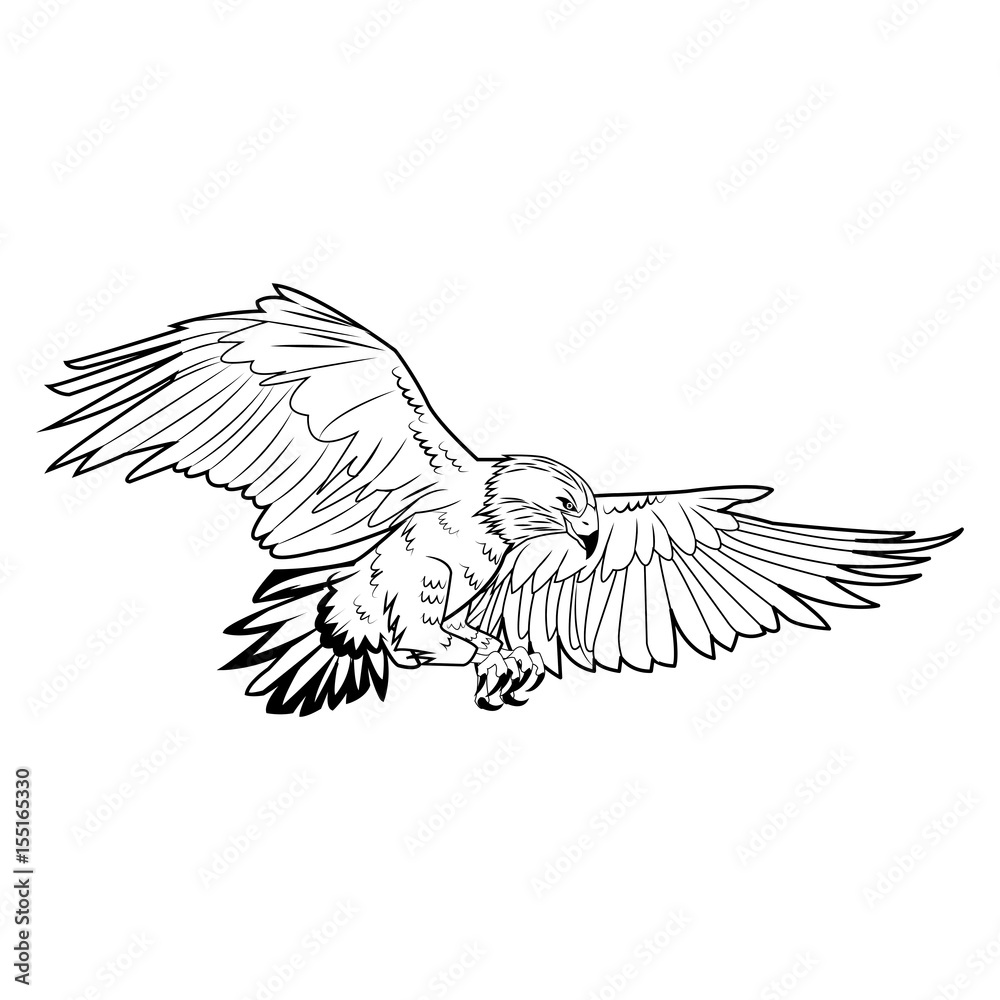 american bald eagle flying wildlife image vector illustration Stock ...