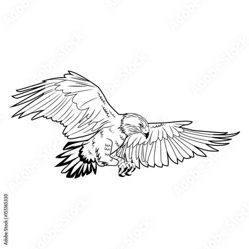 american bald eagle flying wildlife image vector illustration