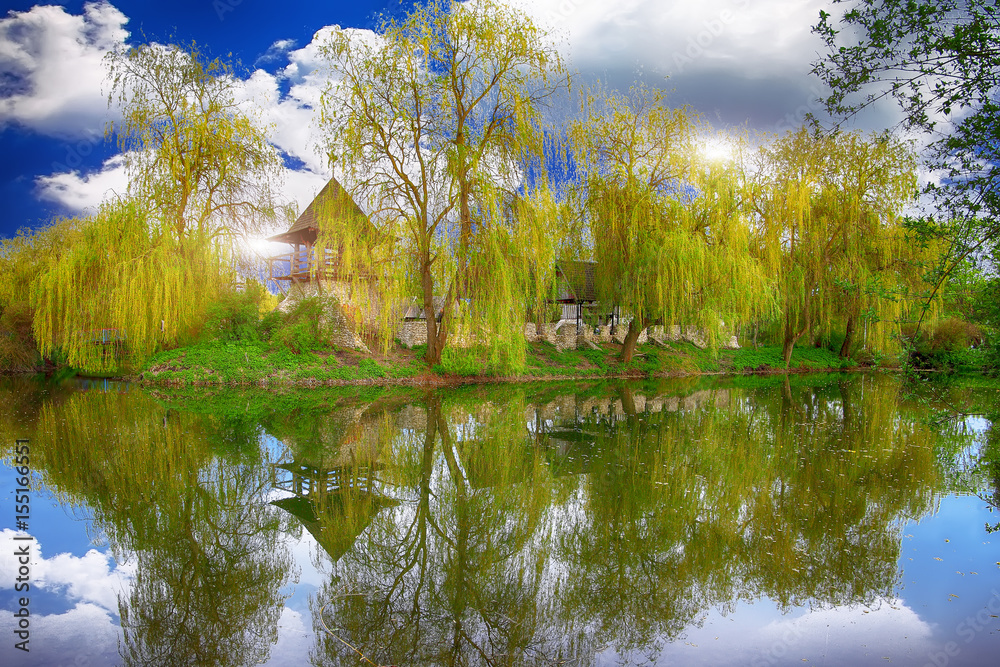 Obraz premium Tranquil Pond With Lush Green Woodland Park in Sunshine