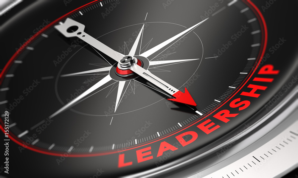 Company Leadership Development and Management Company Leadership Development and Management