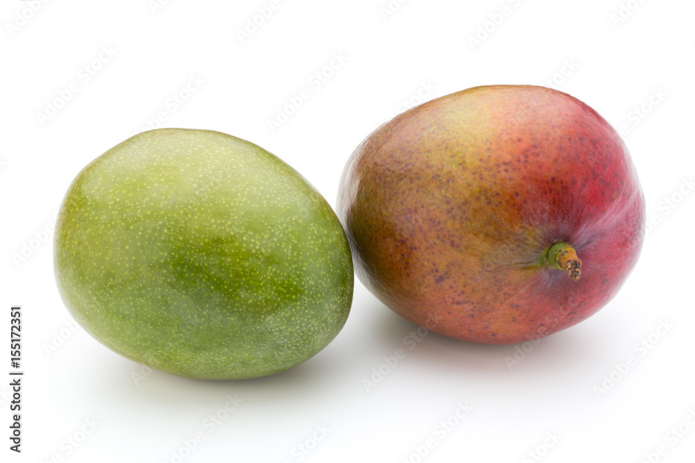 Mango fruit isolated on white background . Mango fruit isolated on white background .