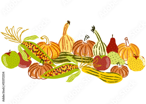 Thanksgiving holiday, autumn, fall images. Hand drawn apple, corn cob, pumpkin, pear, squash and gourd illustration. Isolated on white.