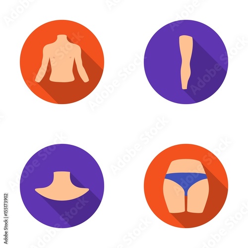 Torso, leg, neck and buttocks. Body parts set collection icons in flat style vector symbol stock illustration web.