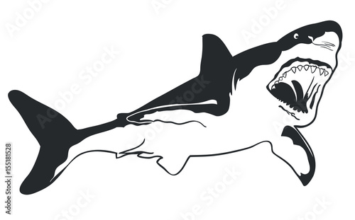 Great white Shark