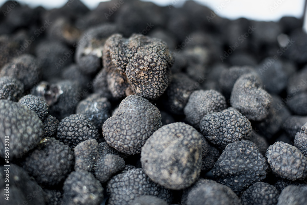 Black preciuos truffle mushrooms heap Black preciuos truffle mushrooms heap