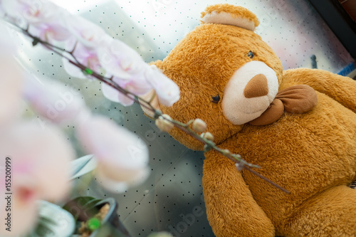 Brown teddy bear sitting near the window and plastic flower in foreground