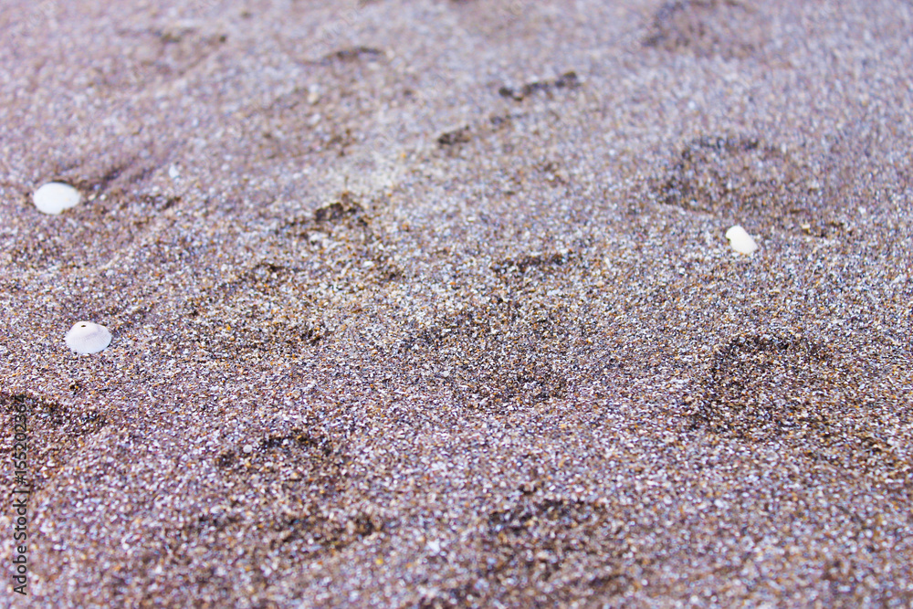 Car Marks in the Sand Closeup Car Marks in the Sand Closeup
