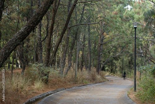 corriendo en blosque los colomos en guadalajara jalisco
