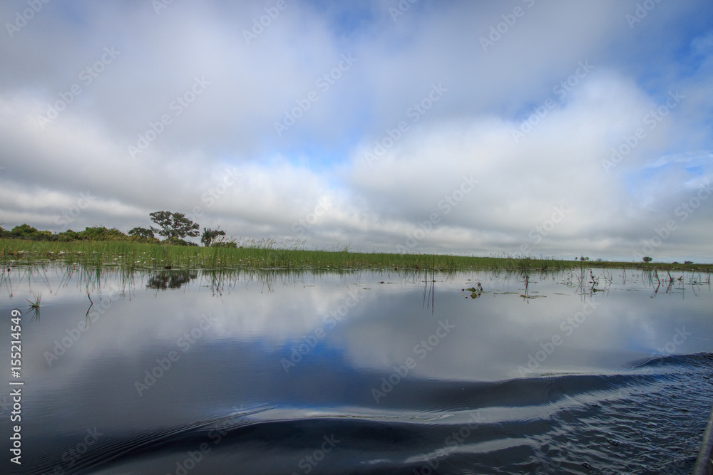 Picture of the landscape in the Okavango delta.