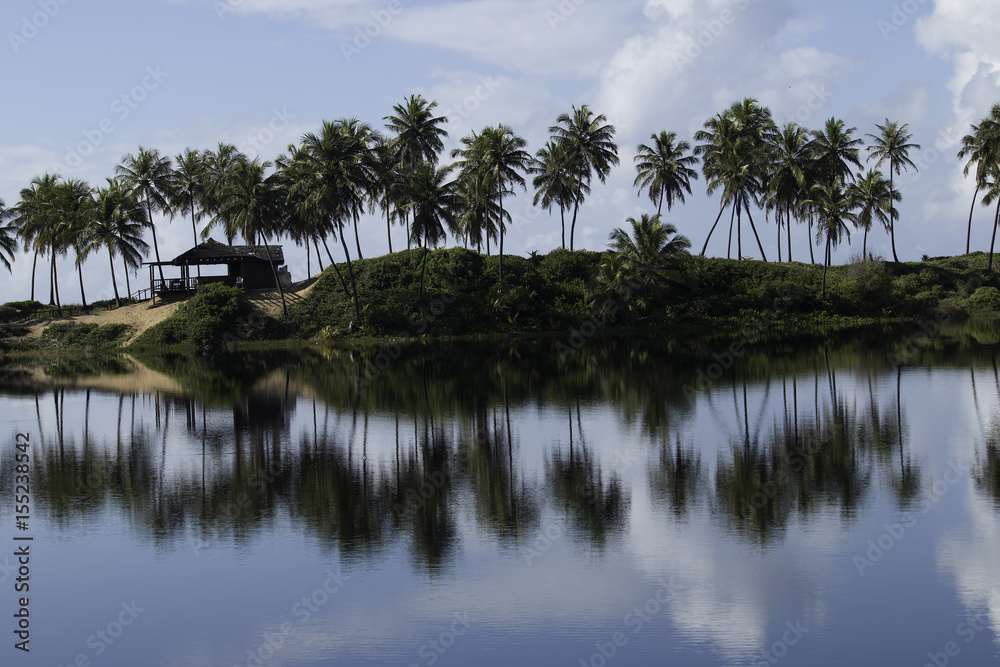 Landscape with reflection of coconut trees in the water on the coast