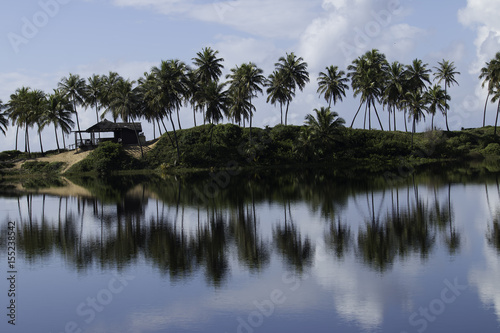 Landscape with reflection of coconut trees in the water on the coast