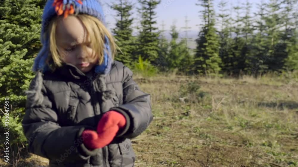 Little Boy Eats A Snack At Christmas Tree Farm Little Boy Eats A Snack At Christmas Tree Farm
